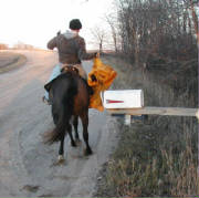 blue-mailbox-slicker.jpg