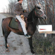 blue-mailbox.jpg