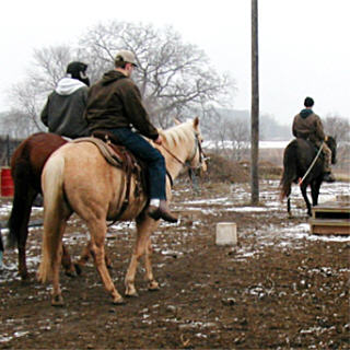 blue-zi-bucket.jpg